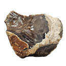 Root Beer Flint - Rough - Texas, USA