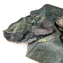 Nephrite Jade C-grade rough from British Columbia, Canada.