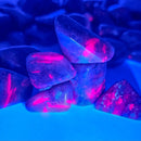 Ruby - Tumble - India - Crown Chakra - UV reactive