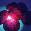 Ruby in Kyanite - Palmstone