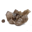 Rutile Smoky Quartz - Specimen