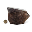 Rutile in Smoky Quartz - Freeform