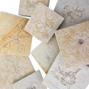 Saccocoma - Fossil - Germany - Mesozoic