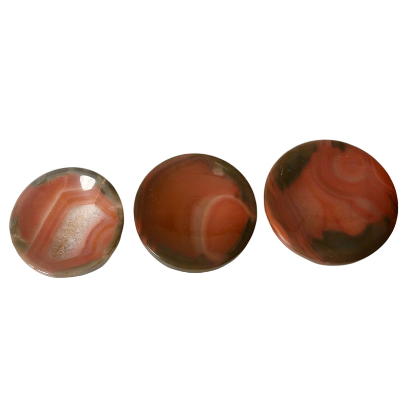 Sardonyx - Dish