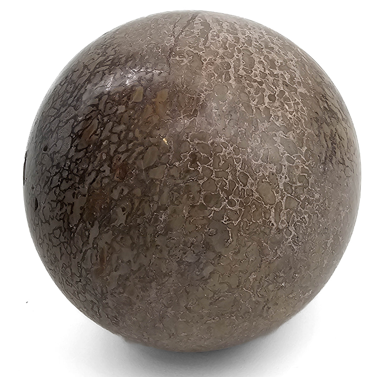 Sauropod Hip Bone Sphere fossil specimen, Maevarano Formation, Maastrichtian.