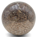 Sauropod Hip Bone Sphere - Fossil Specimen