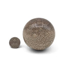 Sauropod Hip Bone Sphere - Fossil Specimen