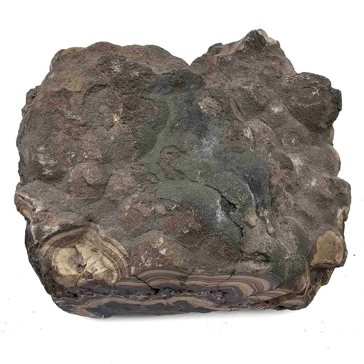 Schalenblende specimen from Olkusz mining district, Poland.