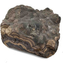 Schalenblende - Specimen