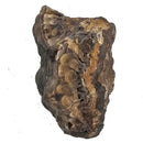 Schalenblende - Specimen