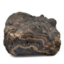Schalenblende - Specimen