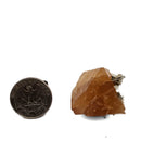 Scheelite on Muscovite - Specimen