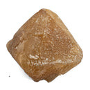 Scheelite on Muscovite - Specimen