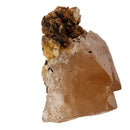 Scheelite on Muscovite - Specimen