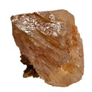 Scheelite on Muscovite - Specimen