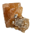 Scheelite on Muscovite - Specimen