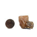 Scheelite on Muscovite - Specimen