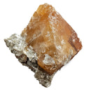 Scheelite on Muscovite - Specimen