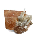 Scheelite on Muscovite - Specimen