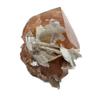 Scheelite on Muscovite - Specimen