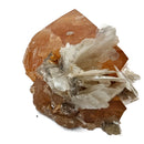 Scheelite on Muscovite - Specimen