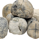 Sea Urchin - Pyritized Fossil - Germany - Mesozoic Era