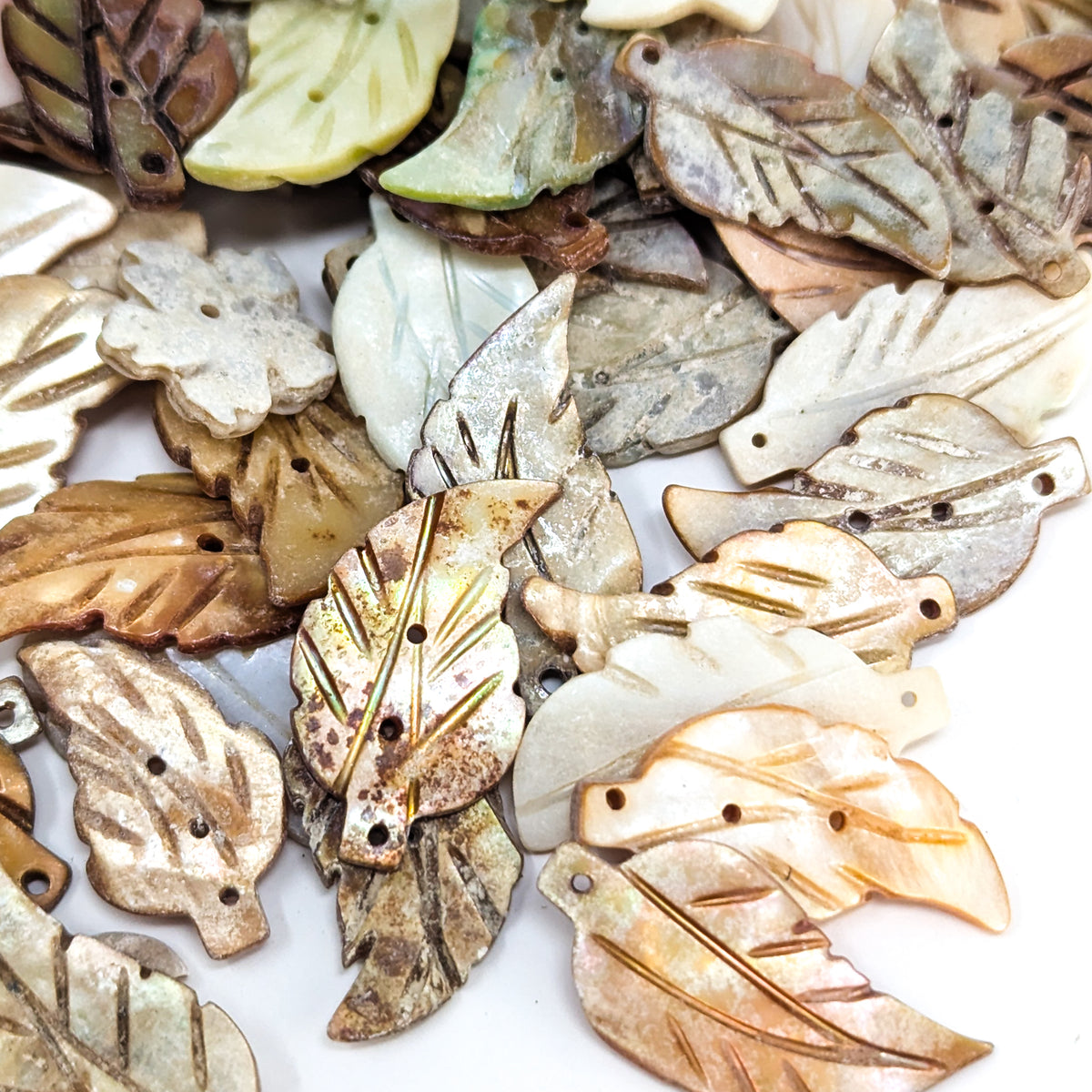 Seashell leaf carving – leaves, close up