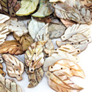 Seashell - Leaf Carving