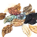 Seashell - Leaf Carving