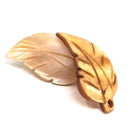Seashell - Leaf Carving