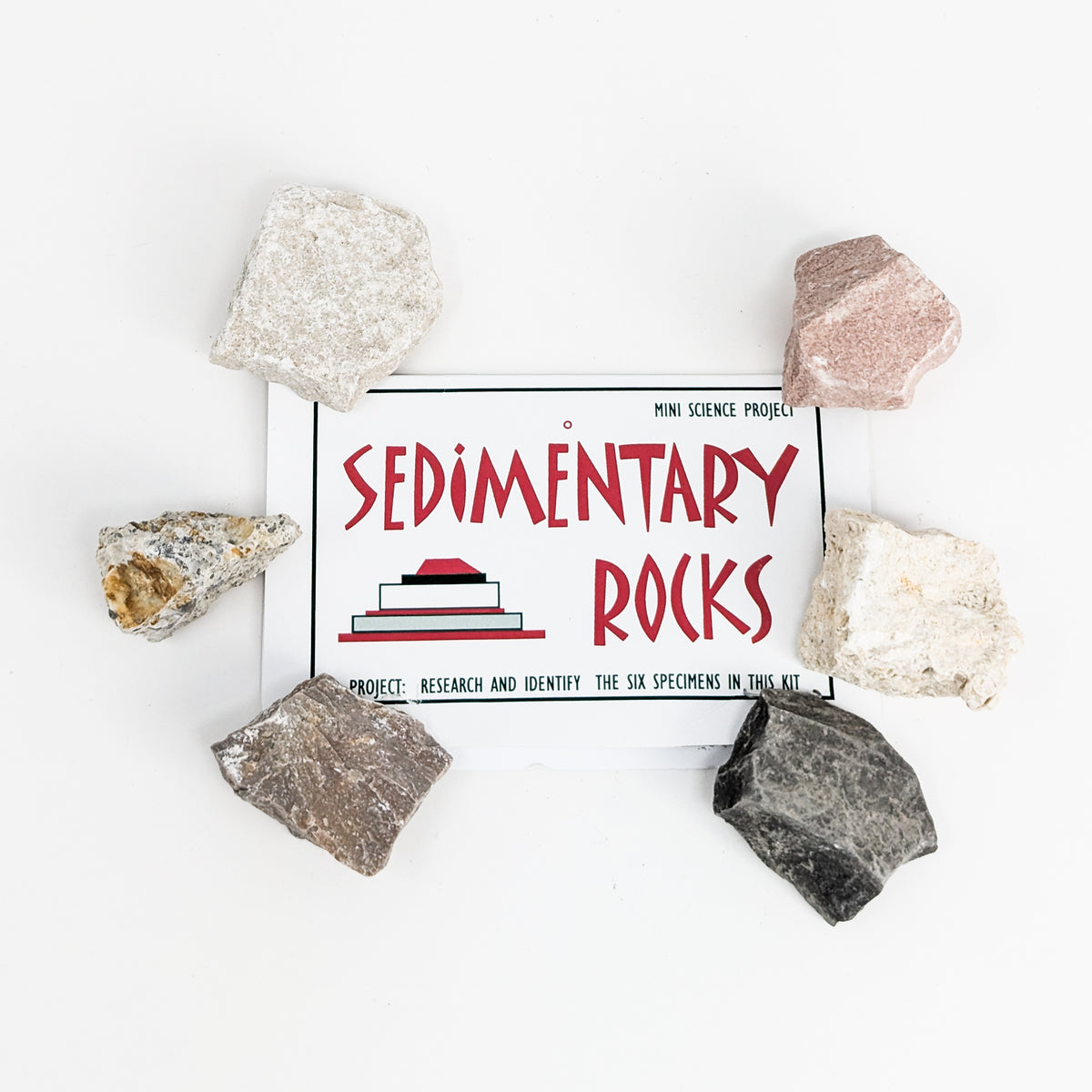 Sedimentary Rocks education set, made of assorted sedimentary rocks.