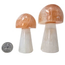 Selenite - Mushroom