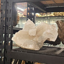 Selenite - Statement Specimen - Mexico - Crown Chakra 