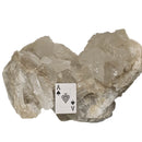 Selenite - Statement Specimen - Mexico - Crown Chakra 