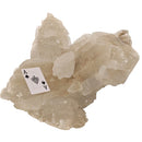 Selenite - Statement Specimen - Mexico - Crown Chakra 