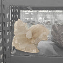 Selenite - Statement Specimen - Mexico - Crown Chakra 