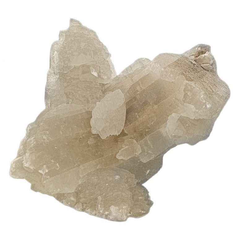 Selenite - Statement Specimen - Mexico - Crown Chakra 