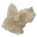 Selenite - Statement Specimen - Mexico - Crown Chakra 