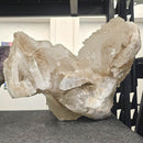 Selenite - Statement Specimen - Mexico - Crown Chakra 