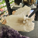 Selenite - Statement Specimen - Mexico - Crown Chakra 