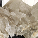 Selenite - Statement Specimen - Mexico - Crown Chakra 