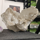 Selenite - Statement Specimen - Mexico - Crown Chakra 