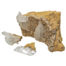 Selenite on Calcite - Mineral - Morocco - Crown and Third Eye Chakra