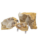 Selenite on Calcite - Mineral - Morocco - Crown and Third Eye Chakra