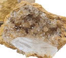 Selenite on Calcite - Mineral - Morocco - Crown and Third Eye Chakra