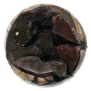 Septarian Sphere - Specimen