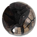 Septarian Sphere - Specimen