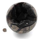 Septarian Sphere - Specimen