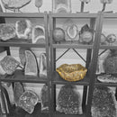 Septarian - Carved and Polished Bowl - Statement Specimen
