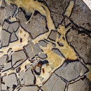 Septarian - Carved and Polished Bowl - Statement Specimen
